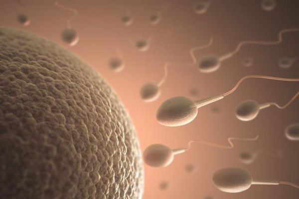 96e0577086653336ee4022500699bdfd.jpg 卵子排出多久受孕最强