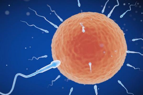 a94a24dbf940ac4b981b348c2a9e22b4.jpg 怎么受孕最容易