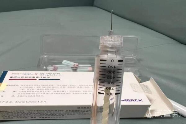 上海长海医院第三代试管婴儿成功好孕