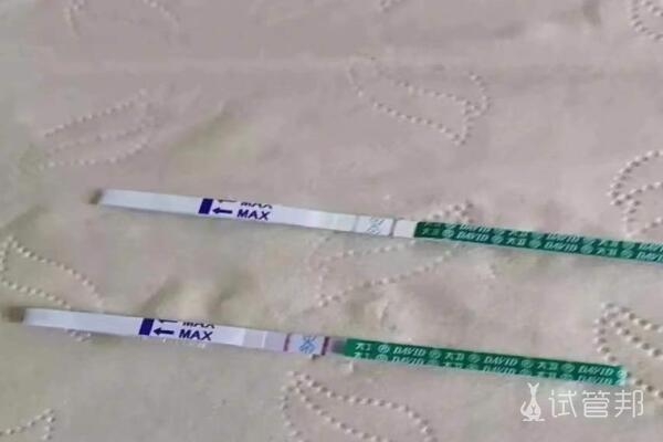 c05dce758c0f55d2bbae3bc28e4a92a3.jpg 景德镇妇幼保健院人工授精成功好孕