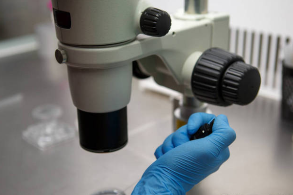 57b05249529631d64e5fcfc4d254e3d1.png 华中科技大学同济医学院附属同济医院试管婴儿技术好吗