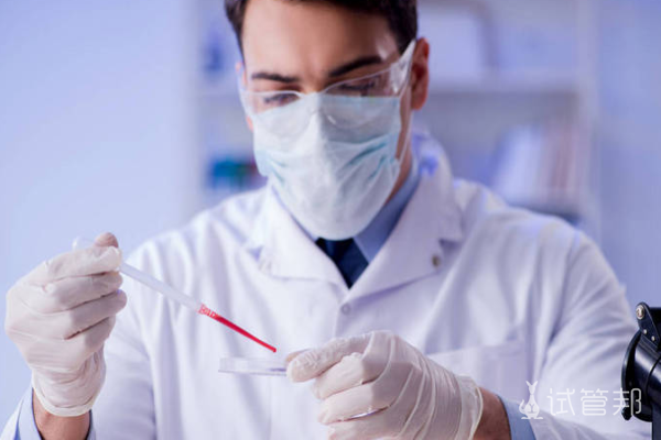 上海国际和平妇幼保健院试管婴儿费用明细