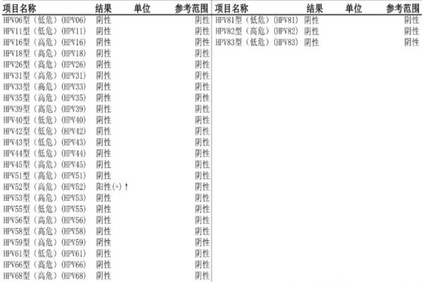 hpv正常值的范围报告图是怎样的