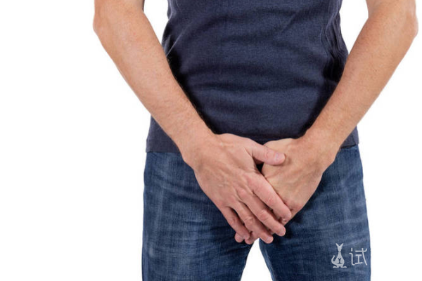 d7cca1fee64674ea15dc4dfb5de05e86.png 睾丸疼痛如何护理