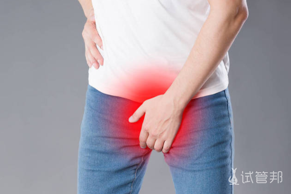 da01ac7e28d880188b2afda6a7944f09.png 睾丸疼痛看什么科