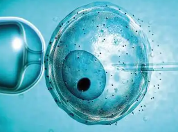 ce4464d9fe476e8e5508cc0191704243.png 胚胎放入子宫游走图片让你1分钟看懂