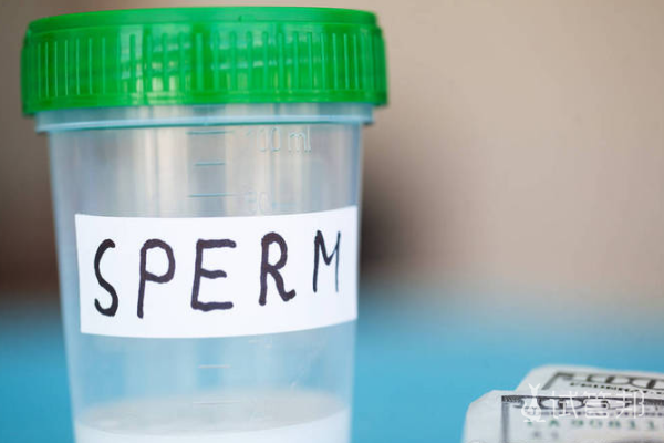 3512bd85ac307d9da9ff6b49ebad4d65.png 佛山人工授精流程有哪些