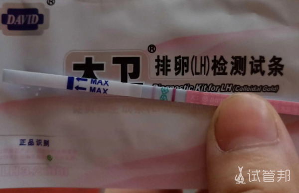 76f48ff24b8817e211254fa6a8dc29a6.jpg 记录一下我的人工授精旅程