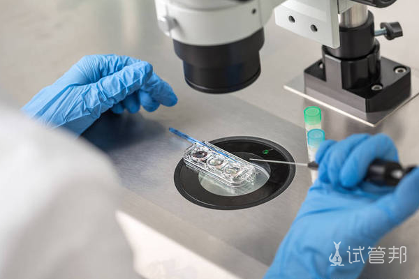 45f885f0142dd04a1207b46898aa34aa.png 鲜胚移植需要注意什么