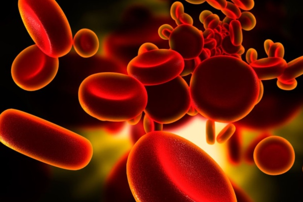 0979c74aac5020bf13cb5071dca1de19.png 异常血红蛋白病是由什么引起的