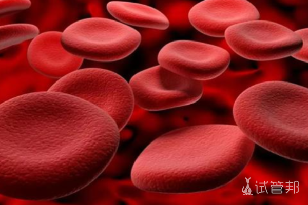 血红蛋白血病诊断标准