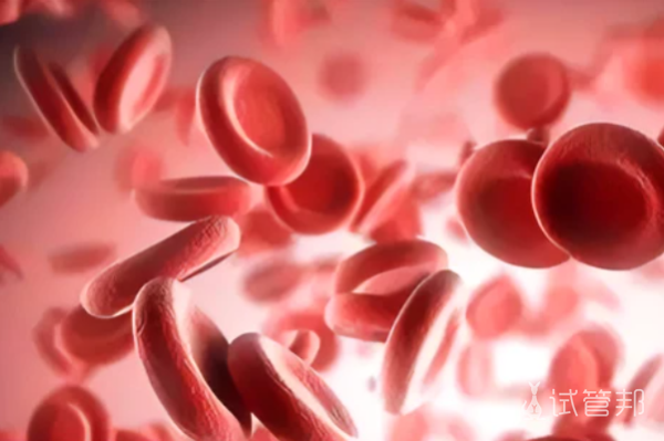 5e13004139b7fa8fe6405edcaf22de36.png 血红蛋白h病能要孩子吗