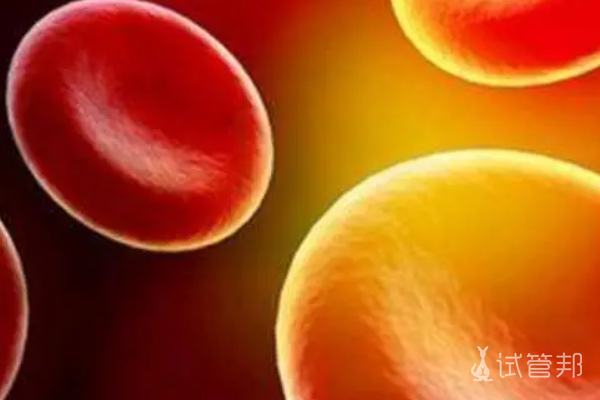 血红蛋白病的发病机制是什么