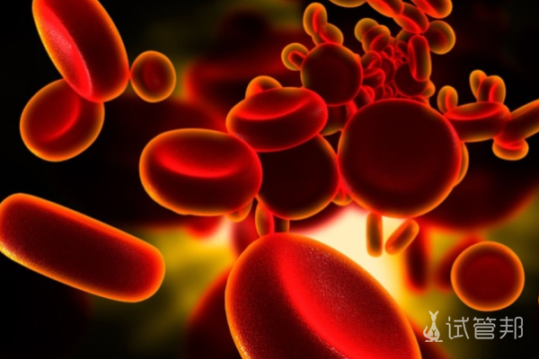 血红蛋白血病怎么治疗