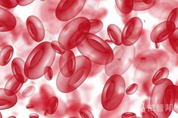 bec44e9efafb2f52f6e240896082ef61.png 血红蛋白偏高是什么病的前兆