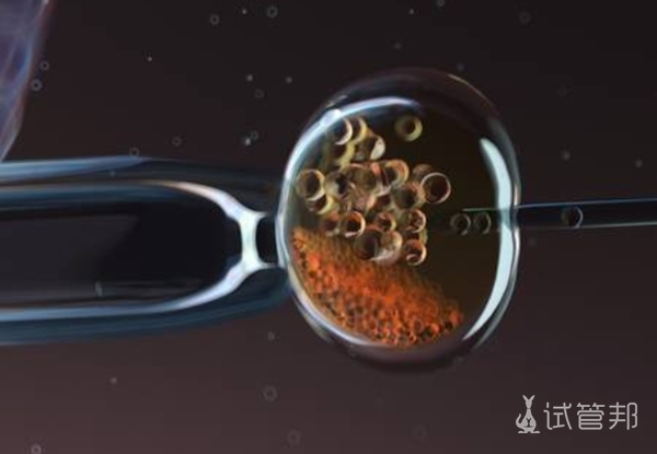 微刺激方案为什么不能移植鲜胚