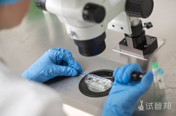 1ae5a087ac75f3cf71ee1109c71f386a.jpg 冻胚移植成功率高吗