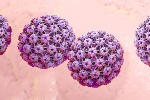 0df945b1108cbf20a1eb77b5b5a6e187.png 尖锐湿疣男性图片是怎样的