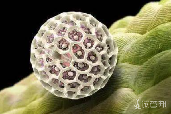 d636d968f5c9f79c556220eef680b58f.png 男性尖锐湿疣症状