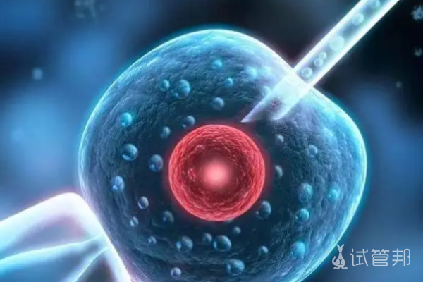 胚胎移植过程是怎么样的