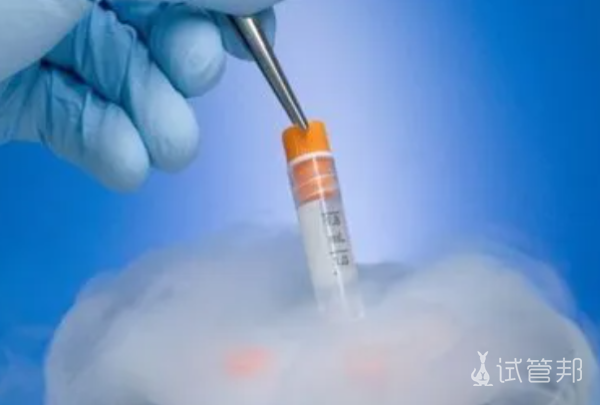 冷冻胚胎移植前需要做什么准备