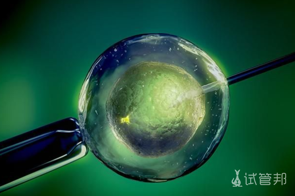 胚胎移植后有哪些症状表现