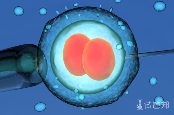 胚胎移植成功率主要取决于什么因素