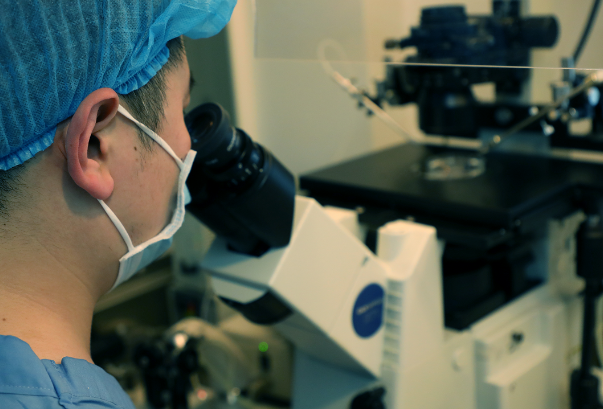 a29752a12979de18e5a20da0e0d88548.png 胚胎移植时间由什么因素决定的