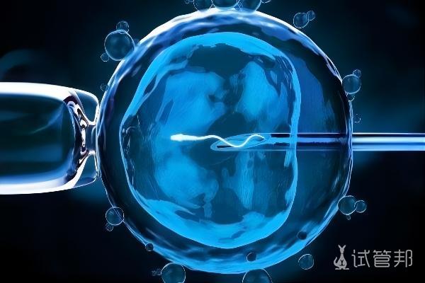 cde8f95053c1f65f9ce2298e46d422ef.jpeg 卵泡发育不好的调理方法有哪些