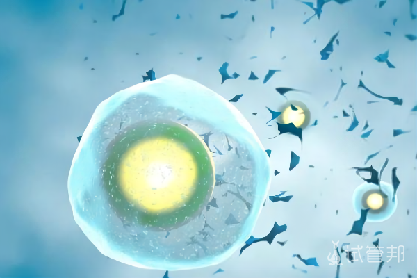 b8e2e948a84249b13ba3cc64a28b1645.png 试管婴儿移植后几天着床成功