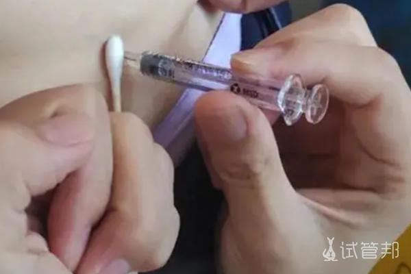 4b441ee9117bea12f73404699387e8a5.png 试管婴儿过程是什么样的