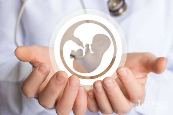 卵巢健康对试管婴儿成功率有影响吗