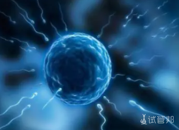 484fbcf0e8fa2aa7ebe8fa5ddc437ed9.png 日本做试管婴儿技术怎样