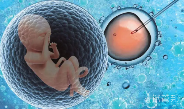 4194e06fe2b081b763199ddb1d9ad3c0.png 日本试管婴儿需要多少费用