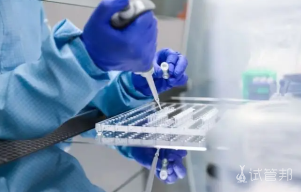 5ce38de09e6ab52e166962ccf61e4f26.png 日本做试管婴儿多少钱