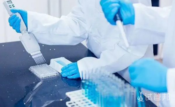 ac770cece6104dcdec69e44774268134.png 日本做试管婴儿成功率怎么样