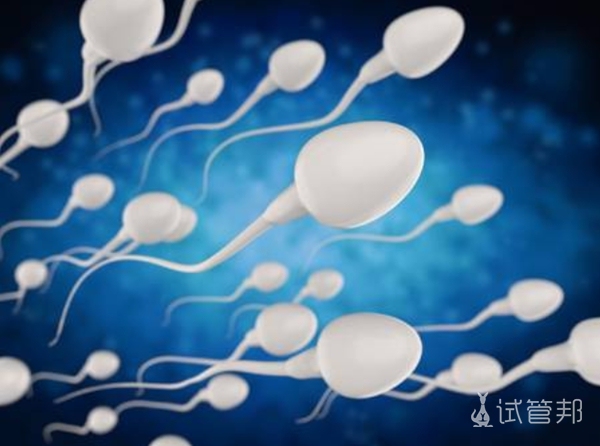 49c36750e94d70fb32b116f73556d6cb.jpg 精液异常对男性身体有哪些影响