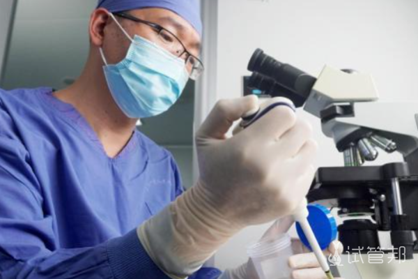 9abcbc668e1a121297b426f30bd43a14.png 无精子症可以做试管吗