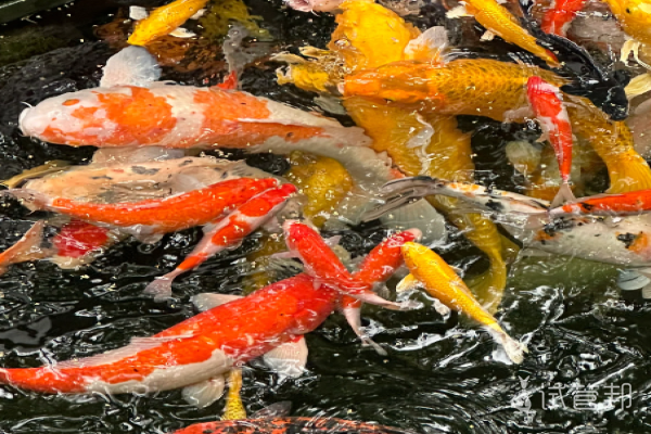 6cf0ee6e0df01ffb232ebe8e8ecceb6c.png 胎梦真的太玄乎了