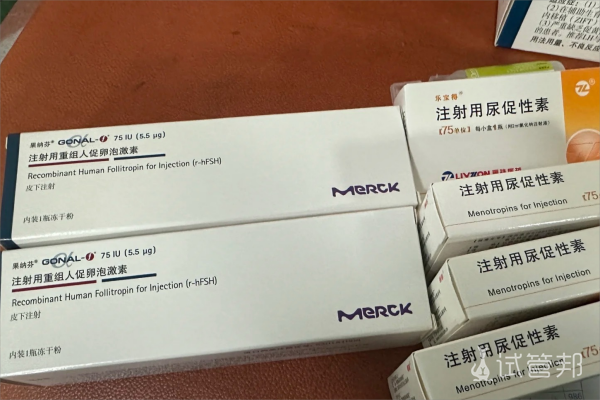 a91f12195a2bc2a29435b6da95dd26d6.png 河北医科大学第二医院试管婴儿促排卵