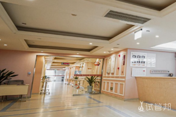 上海试管婴儿成功率高医院排名前五导航