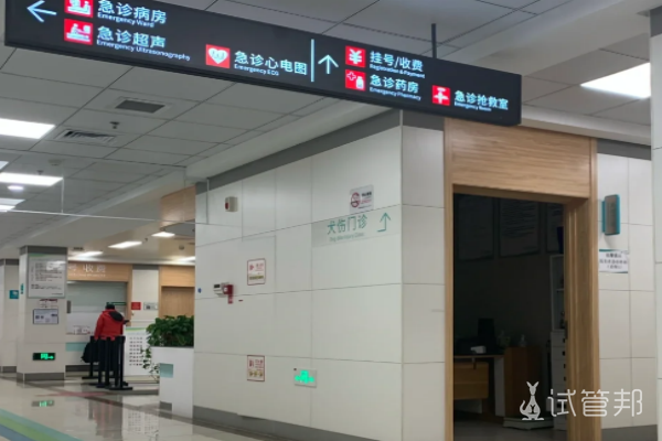 上海做试管婴儿比较好的医院排名哪家好