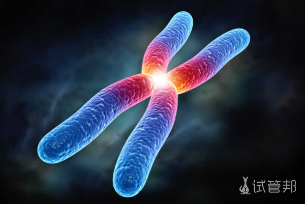 脆性X染色体综合征是单基因病吗