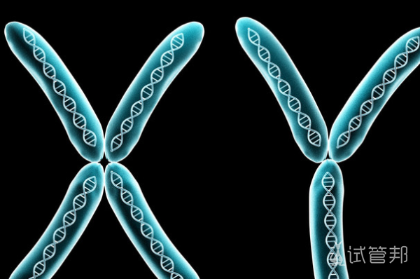 c3a97c518965845a0be879e79eafd5b3.png x脆性染色体综合征的儿童发育会越来越缓慢吗