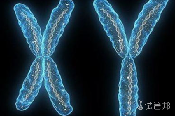 脆性x染色体综合征诊断标准是什么