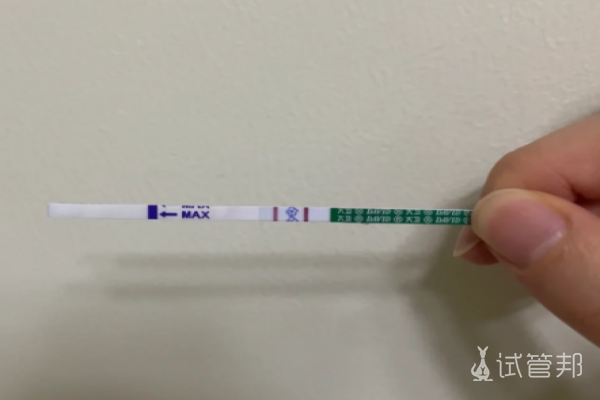 631c25918616cdb02a0ee27fe3b67293.png 通过做试管婴儿怀上双胞胎是种什么样的感受