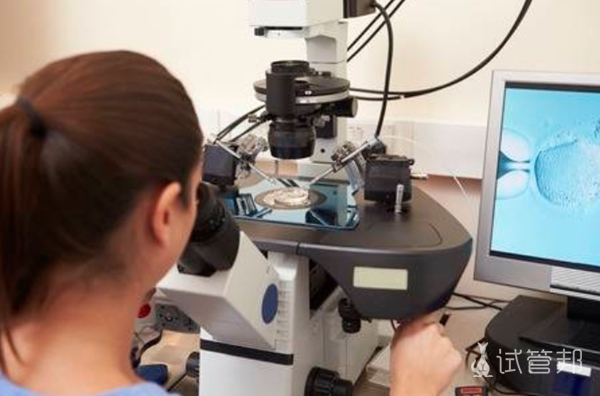 a997251e72cd0a77403652730f0652d4.jpg 广州人工授精流程有哪些