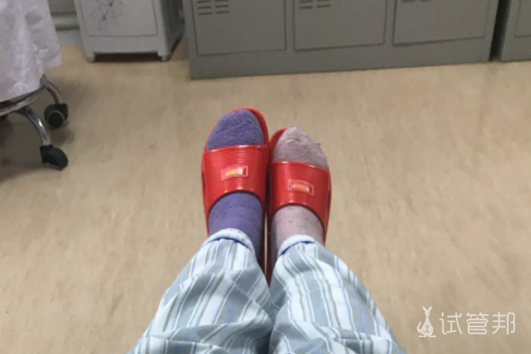 08da6b0d81d186b1f6bf6e1d9efd041e.png 试管移植成功经验分享