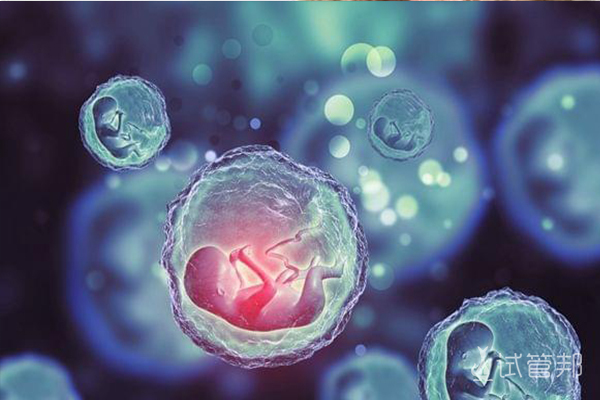 64fed0e619c1ac221b41b8001dc140dd.jpg 俄罗斯去做试管婴儿优势有哪些