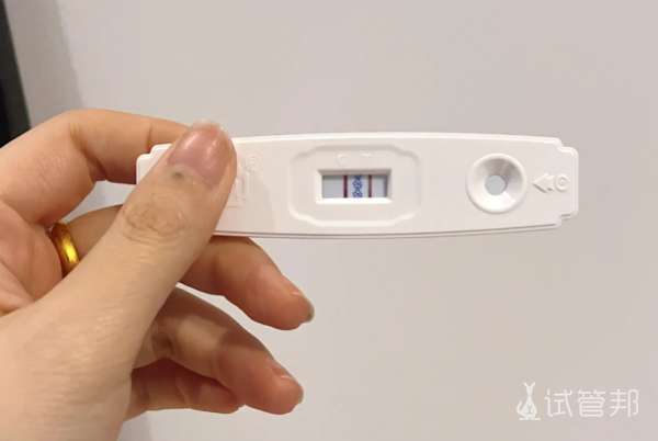 6decba1d53c3b7d93e950dced03d47c4.png 通过第三代试管婴儿拥有了自己的兔宝宝